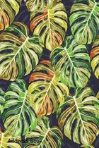Address Book: For Contacts, Addresses, Phone, Email, Note, Emergency Contacts, Alphabetical Index With Leaves Monstera Pattern