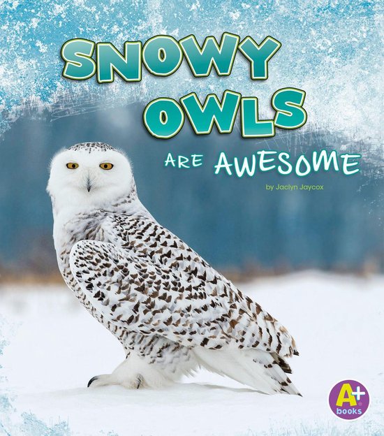 Polar Animals - Snowy Owls Are Awesome (ebook), Jaclyn Jaycox ...