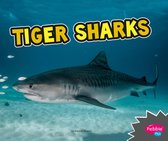 All About Sharks - Tiger Sharks