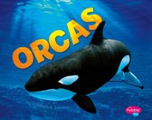 Sea Life - Orcas