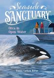 Seaside Sanctuary - Orca in Open Water