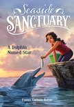 Seaside Sanctuary - A Dolphin Named Star