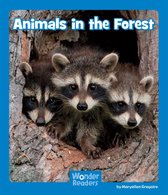 Wonder Readers Emergent Level - Animals in the Forest