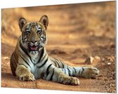 Wandpaneel Oogcontact met tijger  | 120 x 80  CM | Zwart frame | Wandgeschroefd (19 mm)