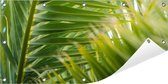 Tuinposter Palmboom 100 x 50 cm incl. Metalen ringen - (Buitenposter - Tuindoek - Buitencanvas - Schilderijen voor buiten - tuin decoratie)