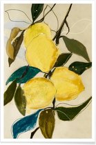 JUNIQE - Poster Lemonstudy 1 -40x60 /Geel & Ivoor