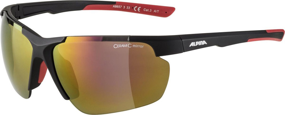 Alpina fietsbril Defey HR black CMR