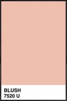 JUNIQE - Poster in kunststof lijst Blush -20x30 /Roze & Wit