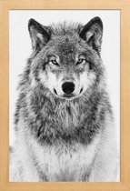 JUNIQE - Poster in houten lijst Winterwolf -40x60 /Grijs