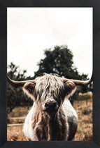 JUNIQE - Poster in houten lijst Boris Highland Cow -40x60 /Bruin &