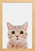 JUNIQE - Poster in houten lijst Kitten -30x45 /Bruin