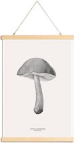 JUNIQE - Posterhanger Bolete Mushroom -40x60 /Grijs & Ivoor