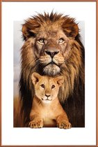 JUNIQE - Poster met kunststof lijst LION FAMILY -40x60 /Bruin & Oranje