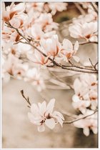 JUNIQE - Poster in kunststof lijst Magnolias 1 -30x45 /Bruin & Ivoor