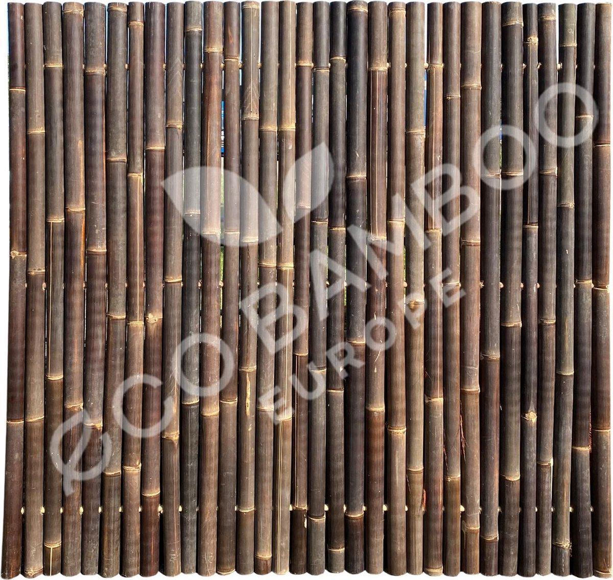 Onrecht enthousiast excelleren Black Bamboe,Bamboo tuinscherm, schutting, afrastering hele palen 180x180  cm | bol.com