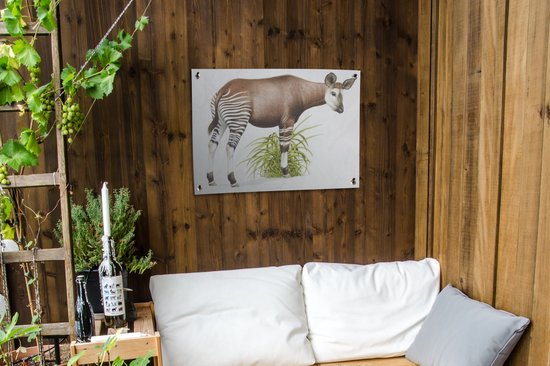 Illustration d'un poster de jardin Okapi 80x60 cm - Toile de jardin / Toile d'extérieur / Peintures d'extérieur (décoration de jardin)