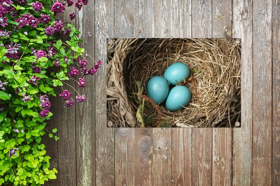 Décoration de jardin Oeufs - Blauw - Rouge-gorge - 60x40 cm - Affiche de jardin - Toile de jardin