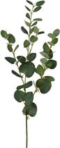 Brynxz - Kunstbloem - Eucalyptus tak - Lengte ca. 80 cm