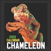Chameleon Calendar 2022