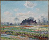 Kunst: Tulpenvelden bij Sassenheim van Claude Monet. Schilderij op canvas, formaat is 100X150 CM