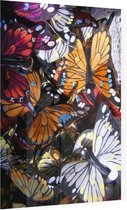 Palette van Kleurrijke Vlinders - Foto op Plexiglas - 60 x 80 cm