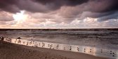 Tuinposter - Zee / Water - Strand in wit / grijs / zwart / oranje / geel / blauw - 120 x 240 cm
