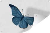 Tuindecoratie Vlinder - Dieren - Blauw - 60x40 cm - Tuinposter - Tuindoek - Buitenposter
