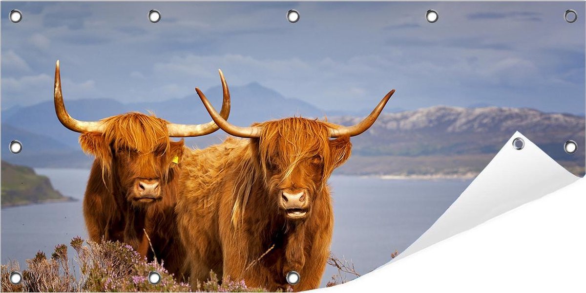 Tuinposter Schotse Hooglander 100 x 50 cm incl. Metalen ringen - (Buitenposter - Tuindoek - Buitencanvas - Schilderijen voor buiten - tuin decoratie)