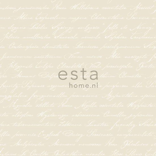 papier peint intissé imprimé craie manuscrite noms de fleurs latines beige - 128033 ESTAhome