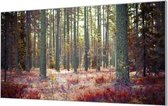 HalloFrame - Schilderij - Bos In De Herfst Akoestisch - Zilver - 120 X 60 Cm