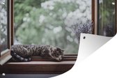 Tuinposter - Tuindoek - Tuinposters buiten - Cyperse kat uit het raam - 120x80 cm - Tuin