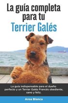 La Guía Completa Para Tu Terrier Galés
