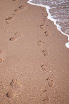Tuinposter - Zee / Water - Strand in bruin / beige / wit / zwart - 60 x 90 cm.