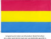 Regenboogvlag 150x90CM - LGBT - Omniseksueel - Panseksueel - Pride - Regenboog Vlag - Omnisexual / Pansexual Flag - Polyester