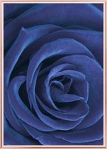 Poster Met Metaal Rose Lijst - Blauwe Roos Poster