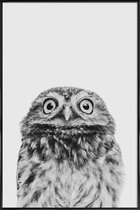 JUNIQE - Poster in kunststof lijst Owl Classic -20x30 /Wit & Zwart