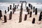 Tuinposter - Zee / Water / Strand - Strand in beige / bruin / wit / zwart - 60 x 90 cm.