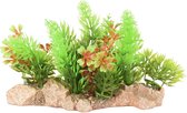 Aquarium plant Umbra - Groen - 15 x 7 x 10 cm