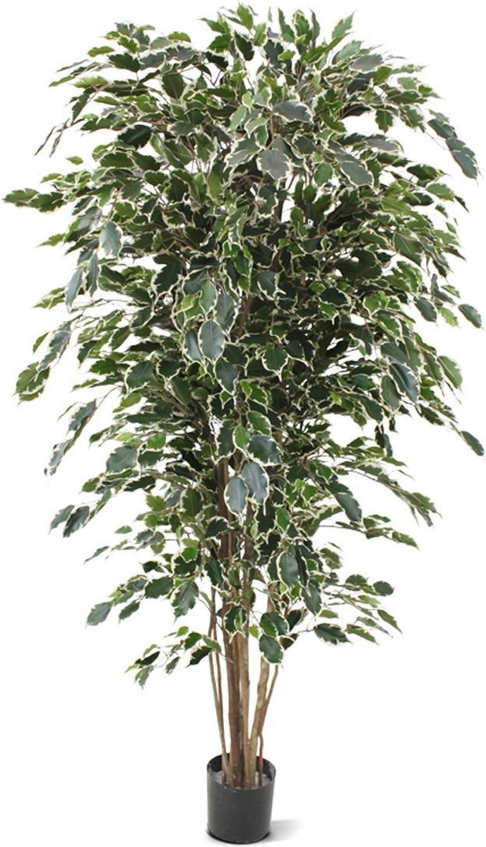 Ficus Exotica deluxe kunstboom 180cm - bont