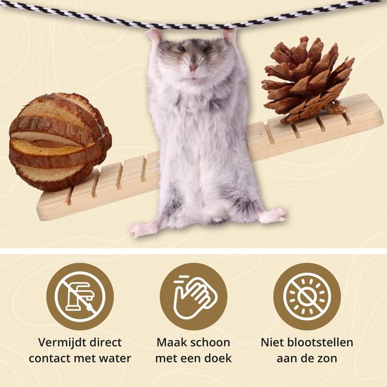 10-Pack Houten Knaagdieren Speelgoed - Voordeelverpakking - Hamster Speelgoed - Knaagdieren - Cavia - Ratten - Merkloos