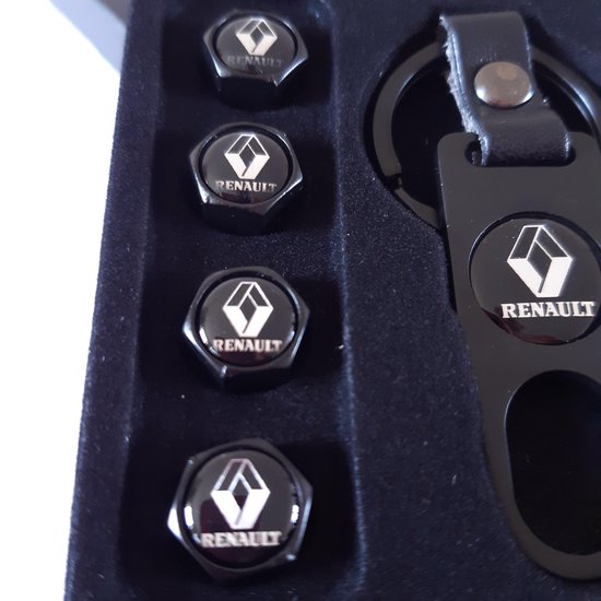 Dacia Sandero Stepway 16 Inch Wheel Trims ZU VERKAUFEN! - DE