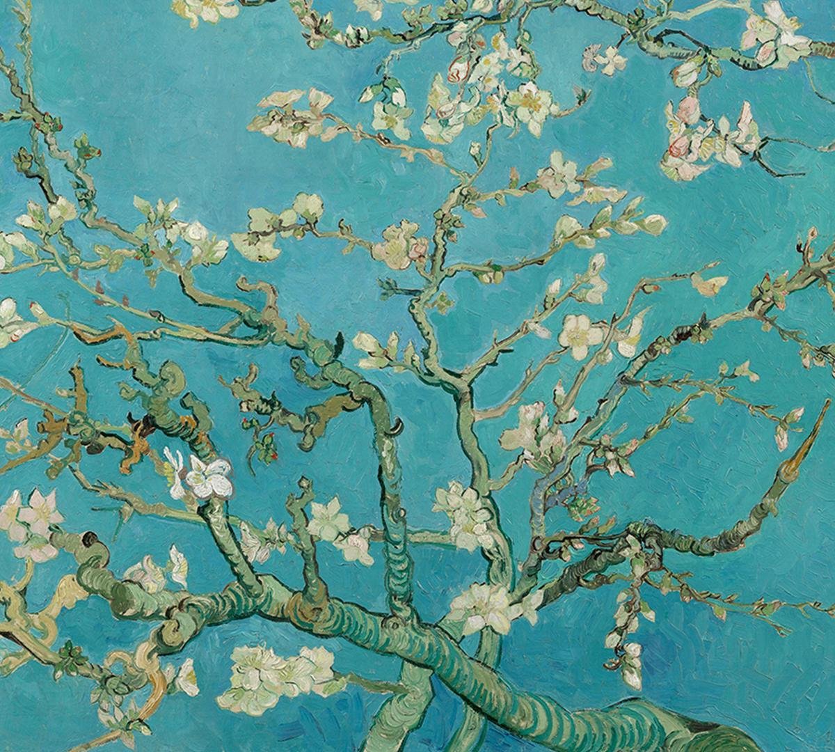 Amandelbloesem, Vincent van Gogh - Fotobehang (in banen) - 250 x 260 cm
