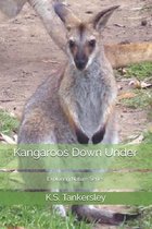 Exploring Nature- Kangaroos Down Under