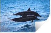 Sticker Muursticker Dolphin - Deux grands dauphins sautent au-dessus de l'eau - 60x40 cm - feuille autocollante - sticker mural repositionnable