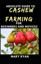 Absolute Guide To Cashew Farming For Beginners And Novices