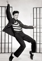 Tuinposter - Filmsterren - Retro / Vintage - Elvis Presley in wit / grijs / zwart  - 160 x 240 cm.