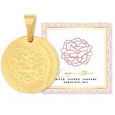 Ketting Birth Flower - Goudkleurig - 55 cm - Januari - Carnation