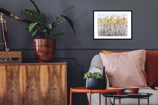 Photo en cadre - Germes de soja dans un bol en verre sur fond blanc Cadre photo noir avec passe-partout blanc petit 40x30 cm - Affiche sous cadre (Décoration murale salon / chambre)