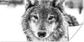 Loup en hiver en papier affiche noir et blanc 80x40 cm - Tirage photo sur Poster (décoration murale salon / chambre) / Poster Animaux sauvages