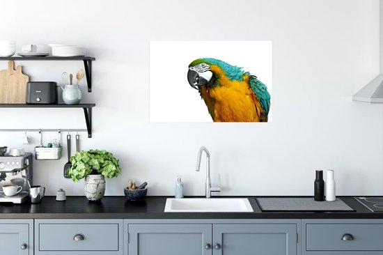 Poster Perroquet devant fond blanc papier 90x60 cm - Tirage photo sur Poster (décoration murale salon / chambre) / Poster Animaux sauvages